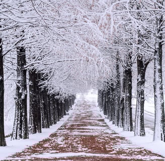 Delivering packages in the winter (Amazon)