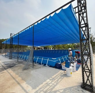 mái xếp bể bơi