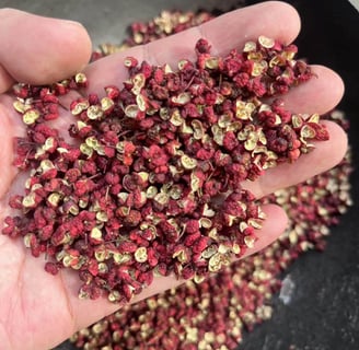 a person holding a bowl of dried Szechuan Pepper