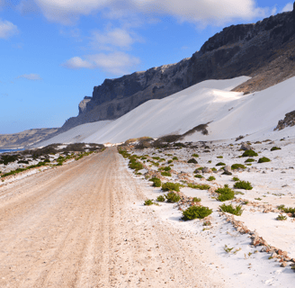 a dirt road with a dirt road and mountains in the background