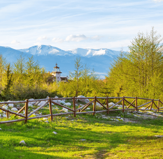 a fenced in area with a fenced in area with grass and trees