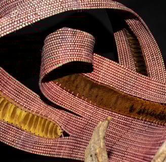 "Betrothed" named for the 19th century novel