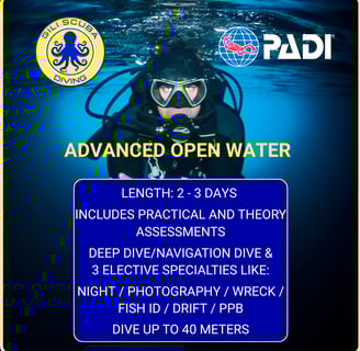 PADI Advanced Open Water certification in Gili Trawangan: choose from Deep, Navigation, Night, Photography, Wreck, Fish ID.