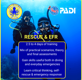 PADI Rescue Diver and EFR course at Gili Scuba Diving: 2.5 to 4 days of training, including theory, pool, and open water