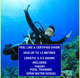 Gili Scuba Diving offers a dive experience to feel like a certified diver: includes 3-5 hours theory, pool training, and an o
