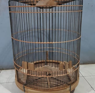 sangkar murai