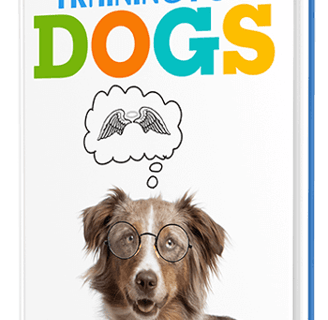 a dog with glasses and a thought bubble bubble