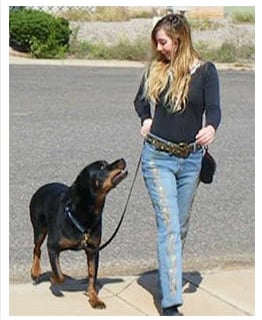 a woman walking a dog on a leash