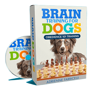 a dog sitting on a chess board with a dvd