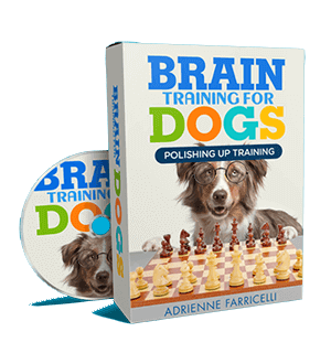 a dog sitting on a chess board with a dvd