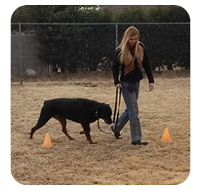 a woman walking with a dog on a leash