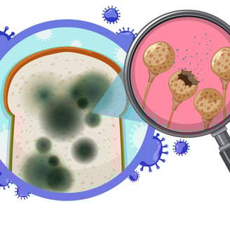 Home Remedies for Yeast Infection