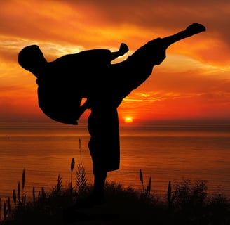 Sunset Karate kick.