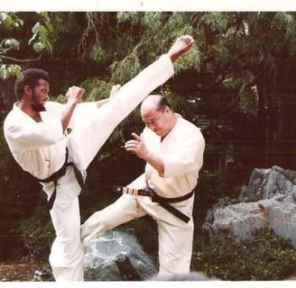 Karate training