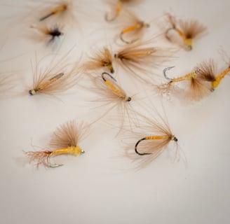 South Holston River Sulfur Dry Flies