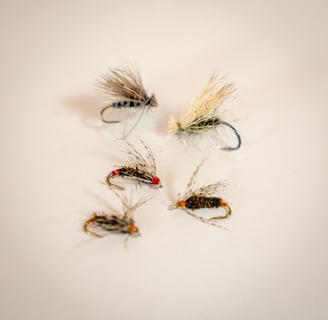 Watauga River Trout Flies