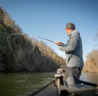 Fly Fishing the South Holston River in February