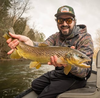 Big Brown trout in February on the South Holston River in Tennessee