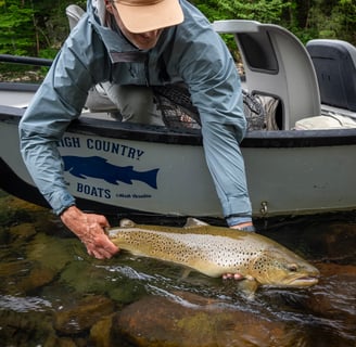 David releases his new personal best- 28.5