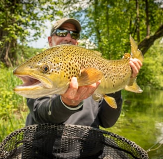 Huge South Holston River Brown Trout: May 2025