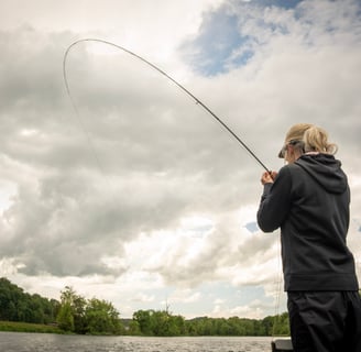 Sulfurs on the South Holston River 2025