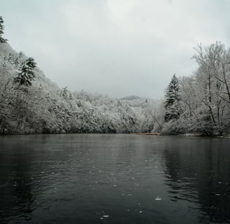 Fresh snow on the South Holston River.