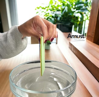 Natural Sponges for kitchen