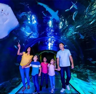 Sea-Life-Orlando-Aquarium