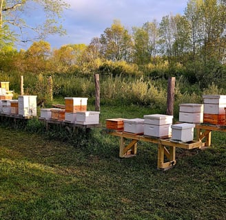 Oak Point Farm Apiary