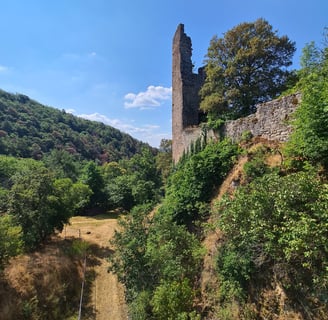 Bad Münster, Altenbaumburg, Uhu Trail