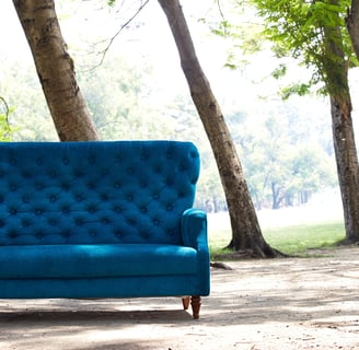 blue couch with trees