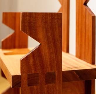 The Accent Chair by Tabitha Asiedu-Gyamfi