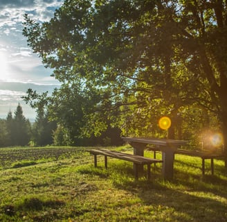 burnout herstel rust wandelen natuur