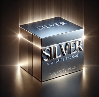 silver colored package for website plans