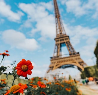 France & Romance