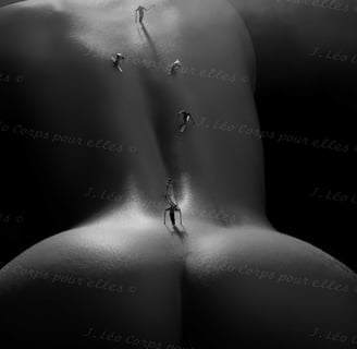 a woman's back view of a naked body
