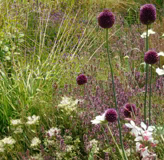 Massif fleuri naturel dans un jardin paysager