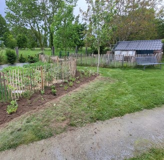 Jeunes plantations bordées d’une clôture en bois rustique dans un jardin paysager