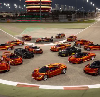 Mansour Ojjeh McLaren Collection