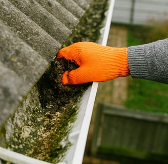 gutter cleaning