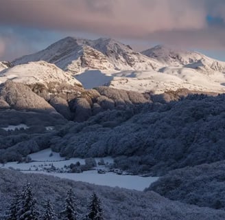 montagne, neige, forêt