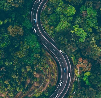 Well crafted highway within a forest (Physical representation of diet-mood connection)
