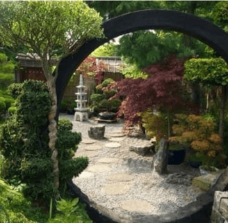 a garden with a circular mirror in the middle