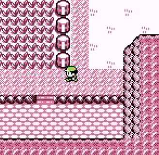 Pokemon on the Hunt