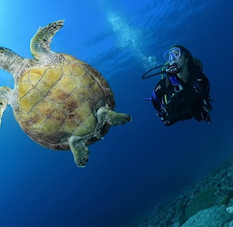 Buceo y snorkeling en Puerto Cortes Honduras. Centro de buceo SSI (scuba School International)