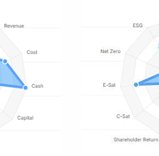 Most mentioned themes & KPIs in Annual Report - Image courtesy of sales-insights.io