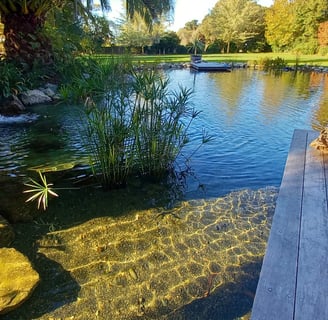 Étang naturel avec cascade et terrasse en bois