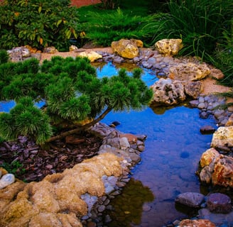 Un bassin paysager avec un pin et des rochers décoratifs