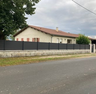 Maison moderne avec clôture en aluminium noir