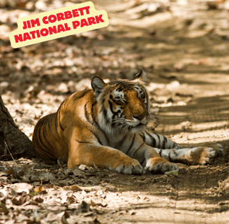 Jim Corbet national park